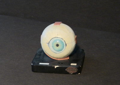 Modello dell'occhio