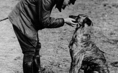 Manfred von Richthofen “The Red Baron” petting his dog on an airfield, 1916